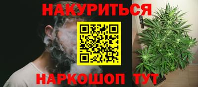 сатива Кулебаки