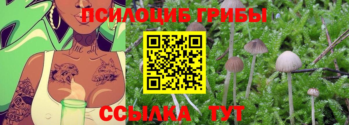 Псилоцибиновые грибы Magic Shrooms  Псилоцибиновые грибы ЛСД  Вход с VPN  Канаш 